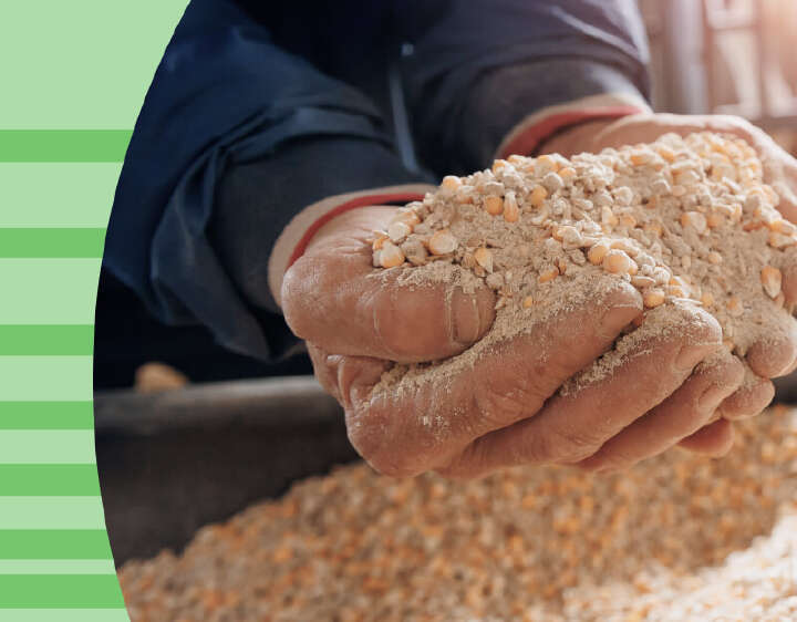 einstiegsbanner blattin themenmix mobil